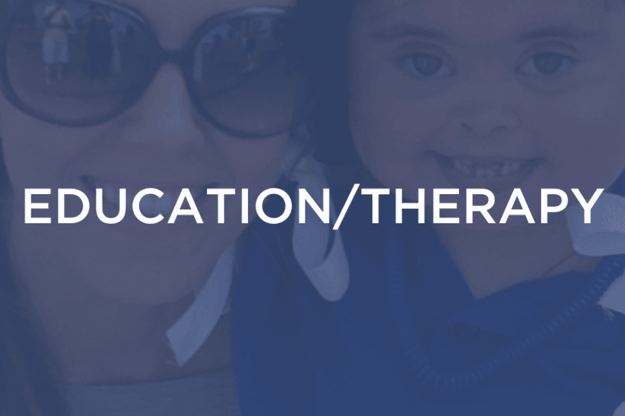 EducationTherapy